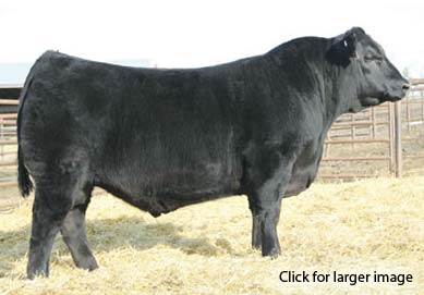 S A V Harvestor 8330