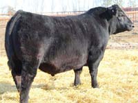 S A V Harvestor 8330