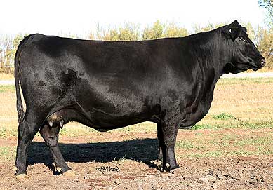 FRIESO 2001 PRAIRIE 0009