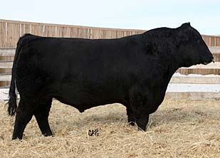 Soo Line Kodiak 9207