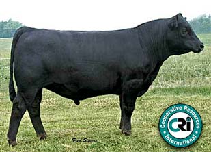 Quaker Hill Objective 3J15