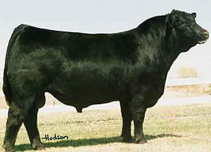 O G L BATTLE CRY 427 128